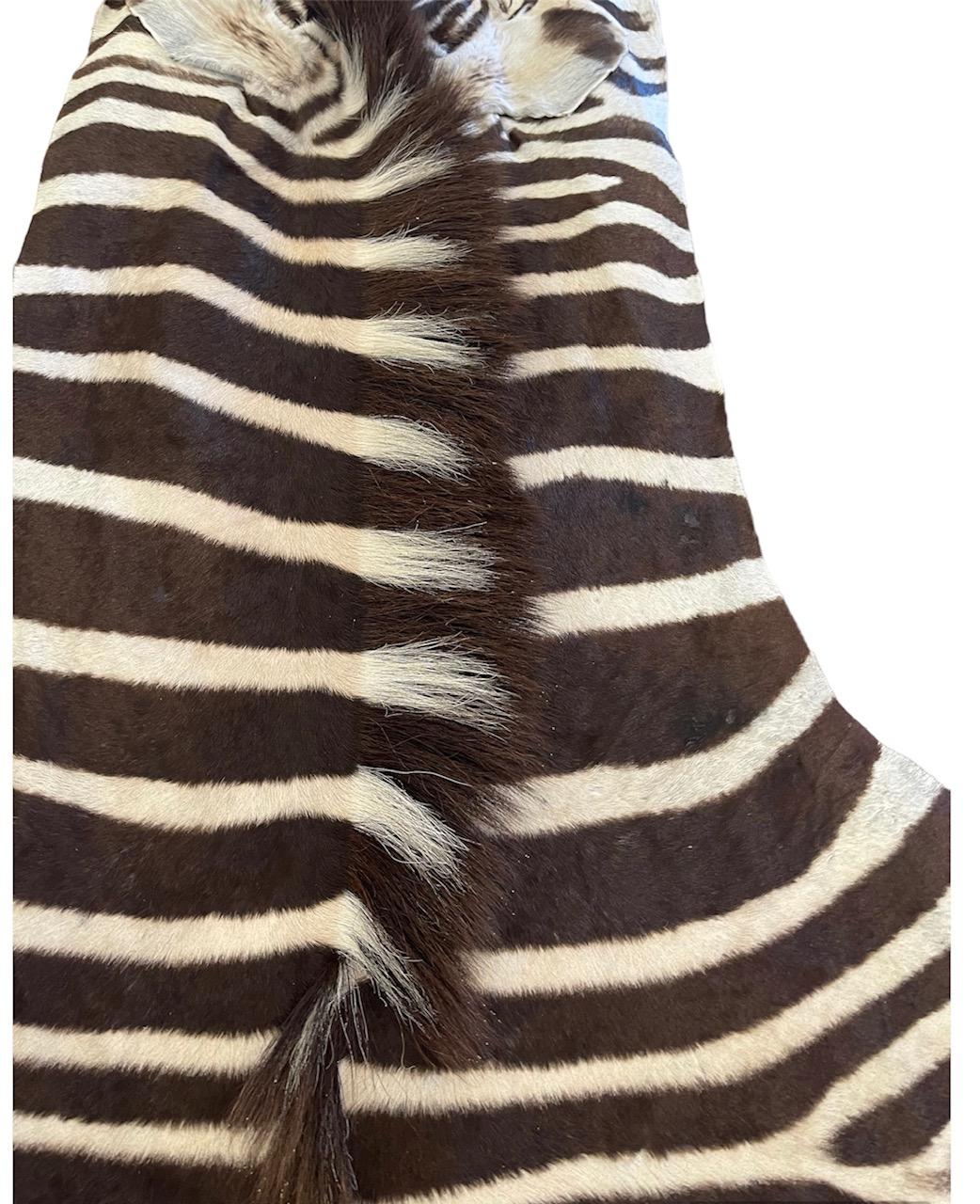 We offer a variety of the finest grade Burchell Zebra Skins straight from South Africa. We hand select each zebra for its uniqueness in color, stripes and natural marks.