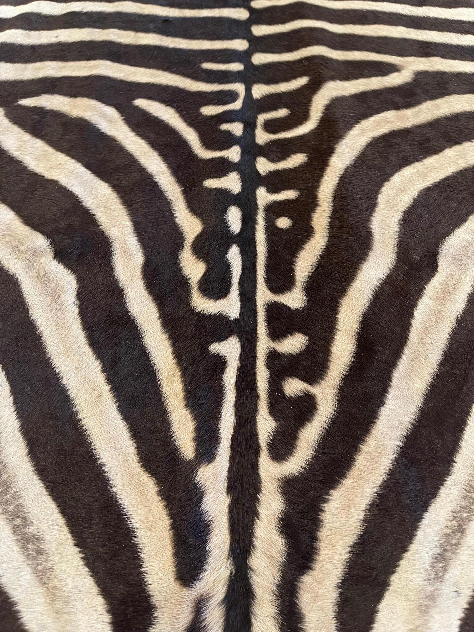 Modern Fine Grade Burchell Zebra Hide For Sale