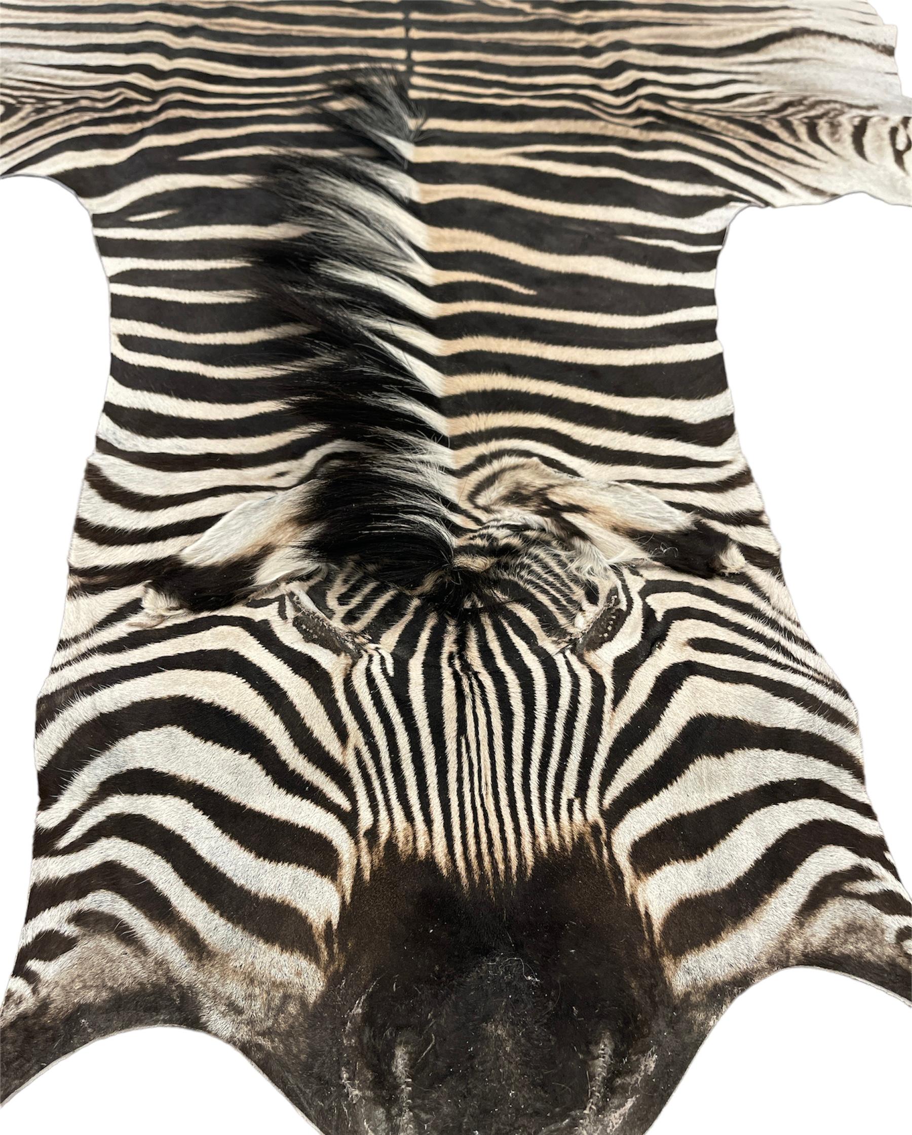 Zebrafell von Burchell in feinem Schliff (Afrikanisch) im Angebot