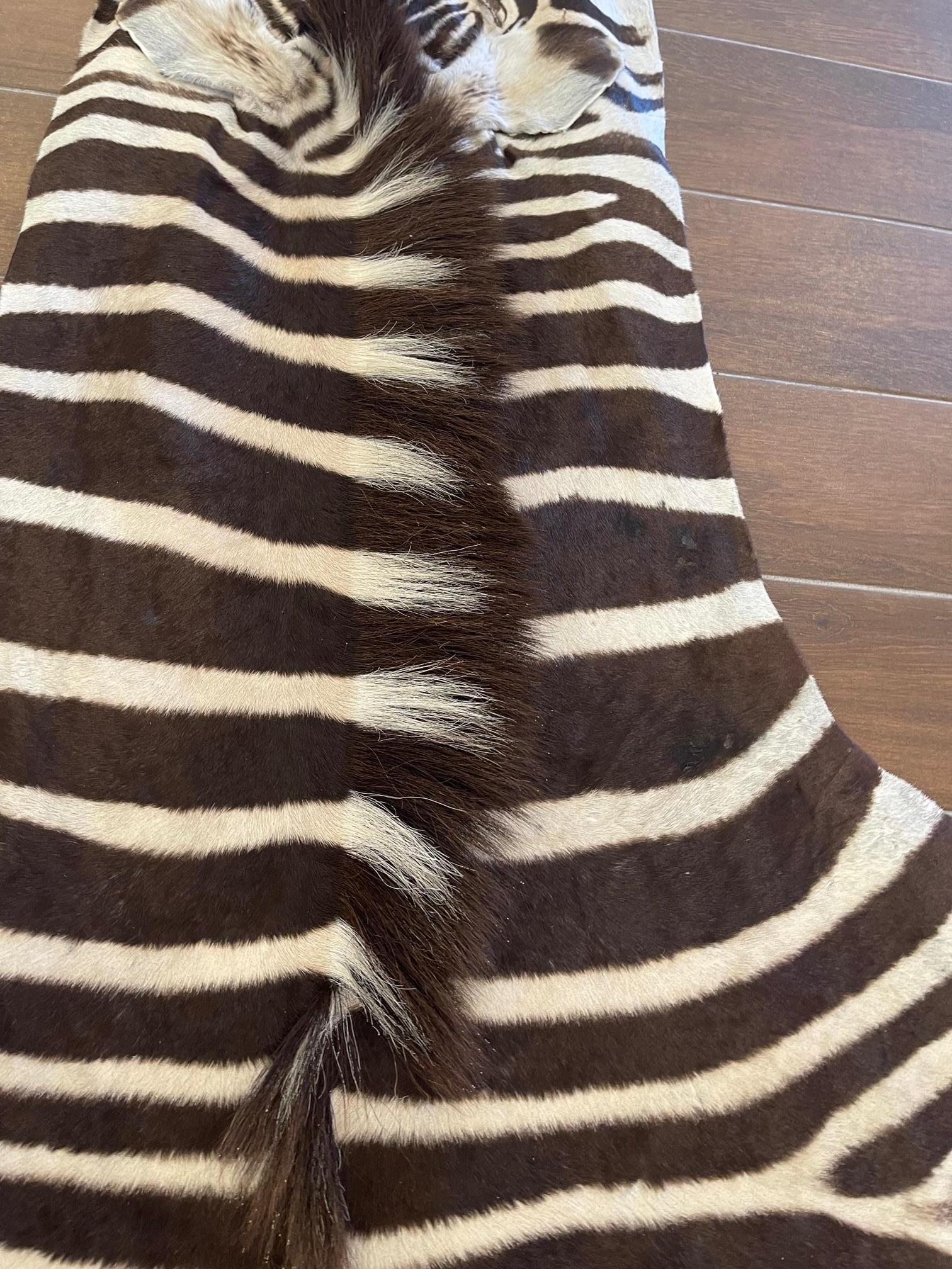 Fine Grade Burchell Zebra Hide In New Condition For Sale In Saint Louis, US