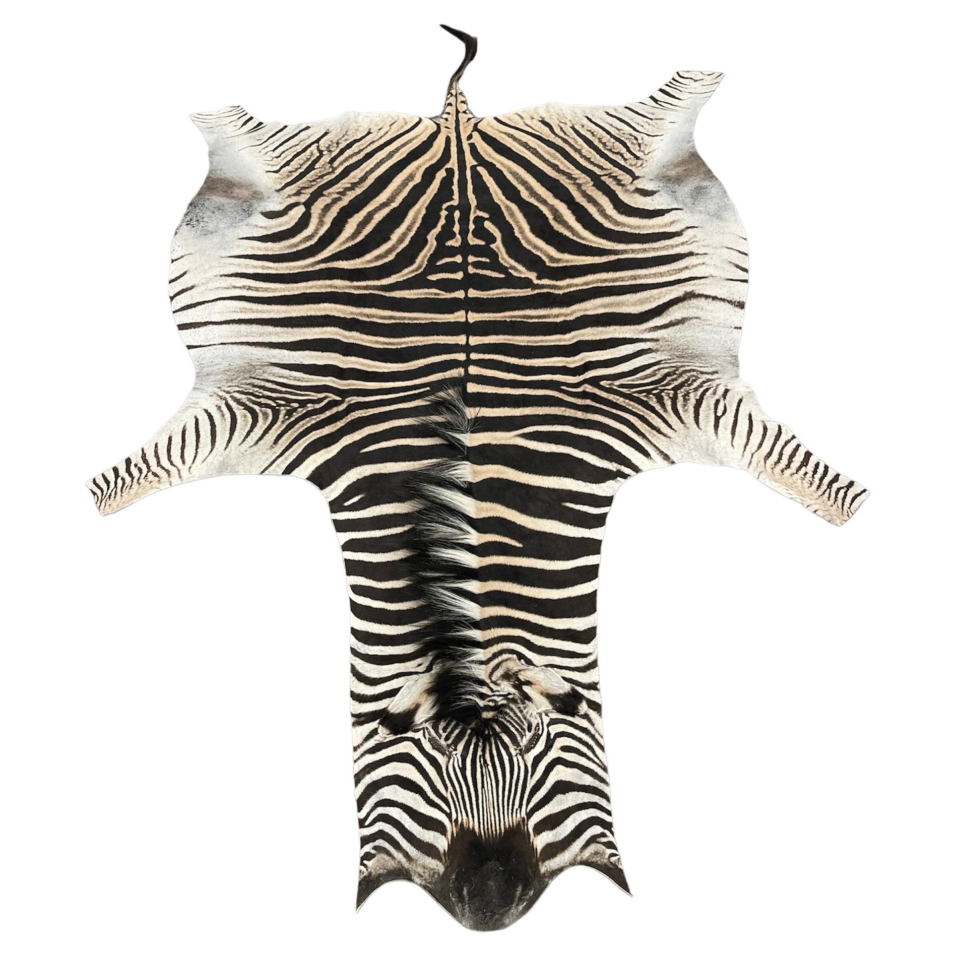 Fine Grade Burchell Zebra Hide