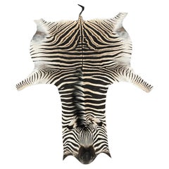 Vintage Fine Grade Burchell Zebra Hide