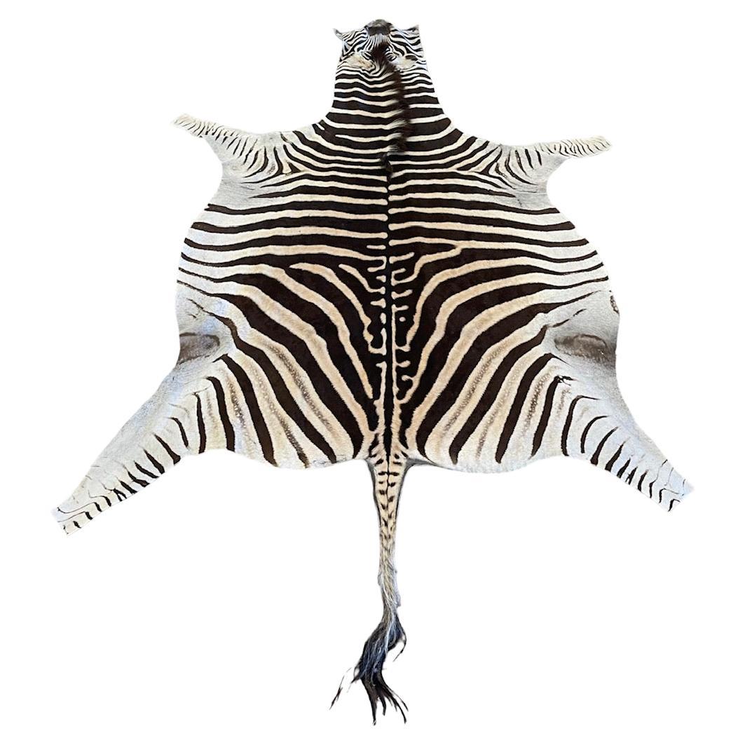 Fine Grade Burchell Zebra Hide For Sale