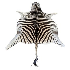 Pelle di zebra Burchell di grado fine