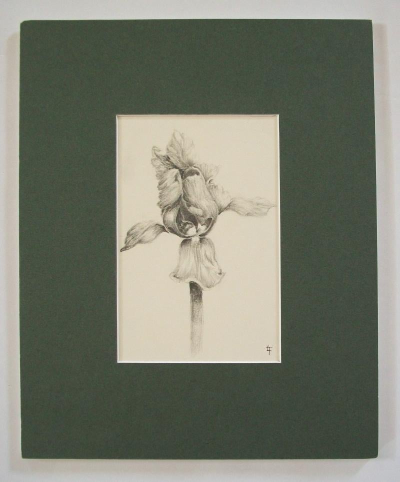 Hand-Crafted Fine Graphite Drawing of an Iris - Initialed L.T. - Canada - Late 20th Century For Sale