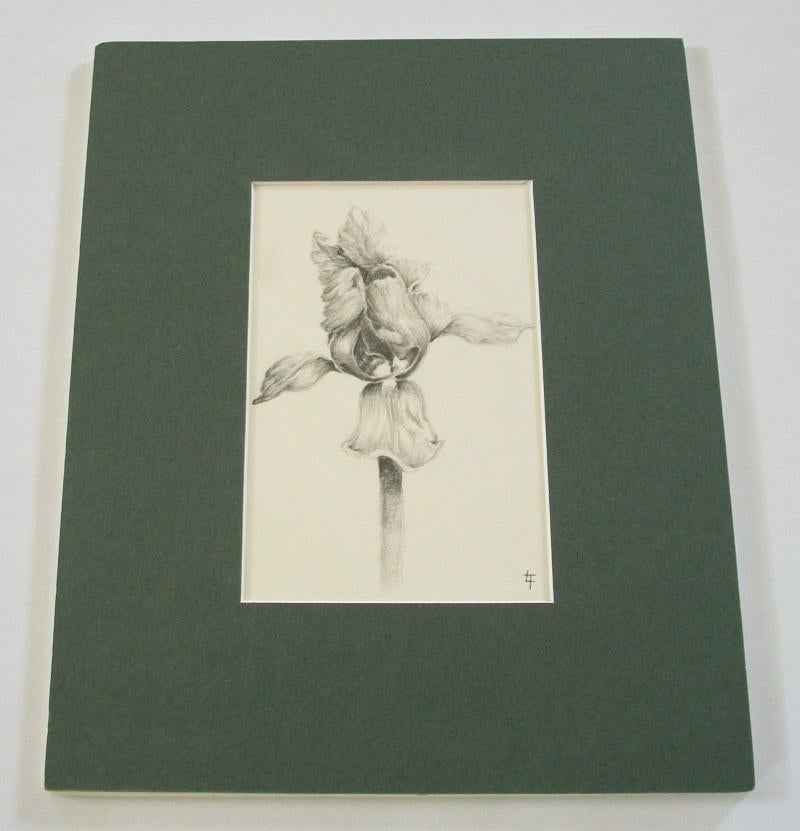 Le dessin en graphite d'un iris - Initialité de L.T. - Canada - Fin du 20e siècle Bon état - En vente à Chatham, ON