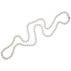 Fine Japanese Cultured Pearl Long Necklace with a White Gold Clasp