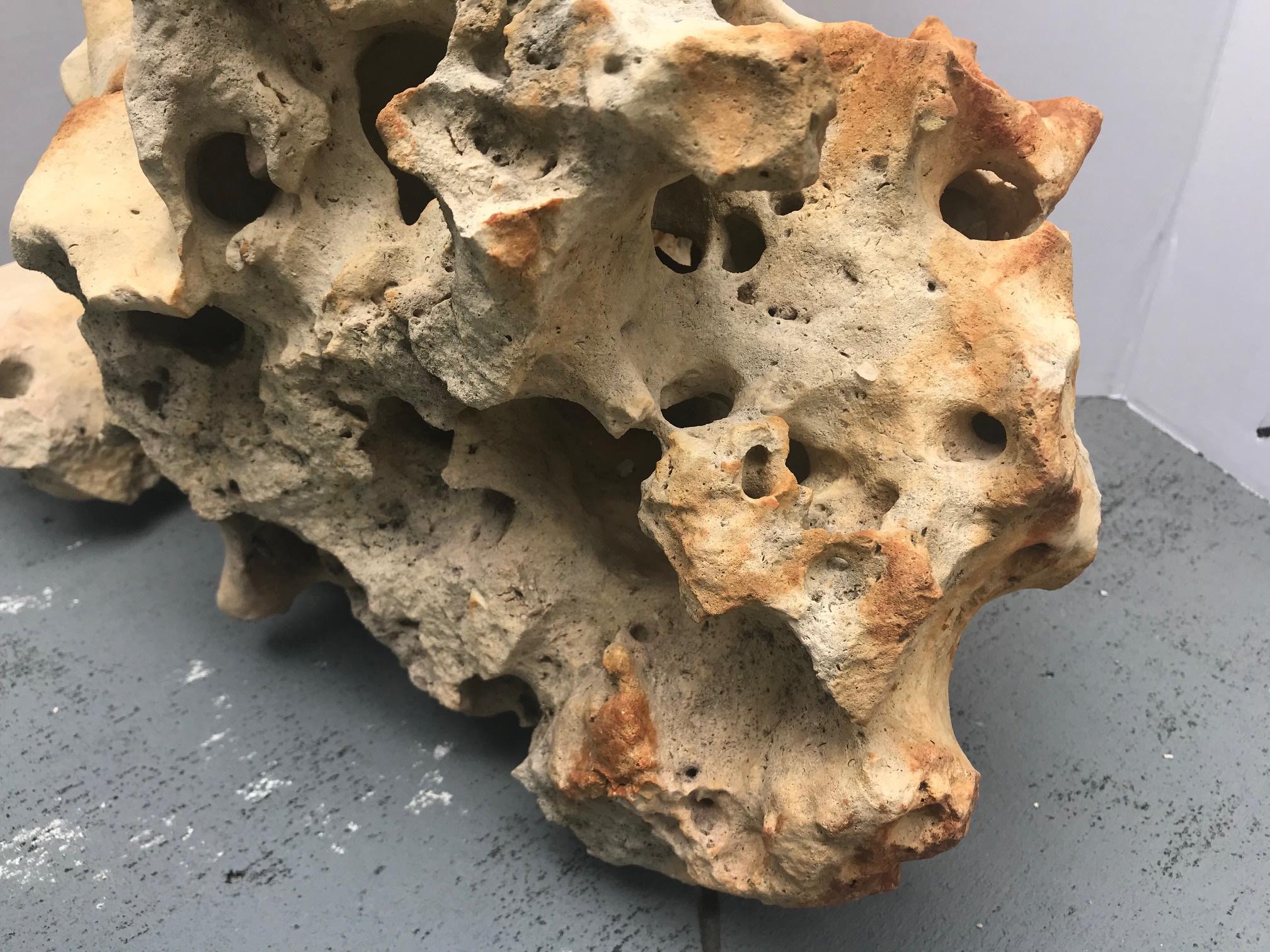 Fine Large Chinese Taihu Scholar Limestone Rock 1