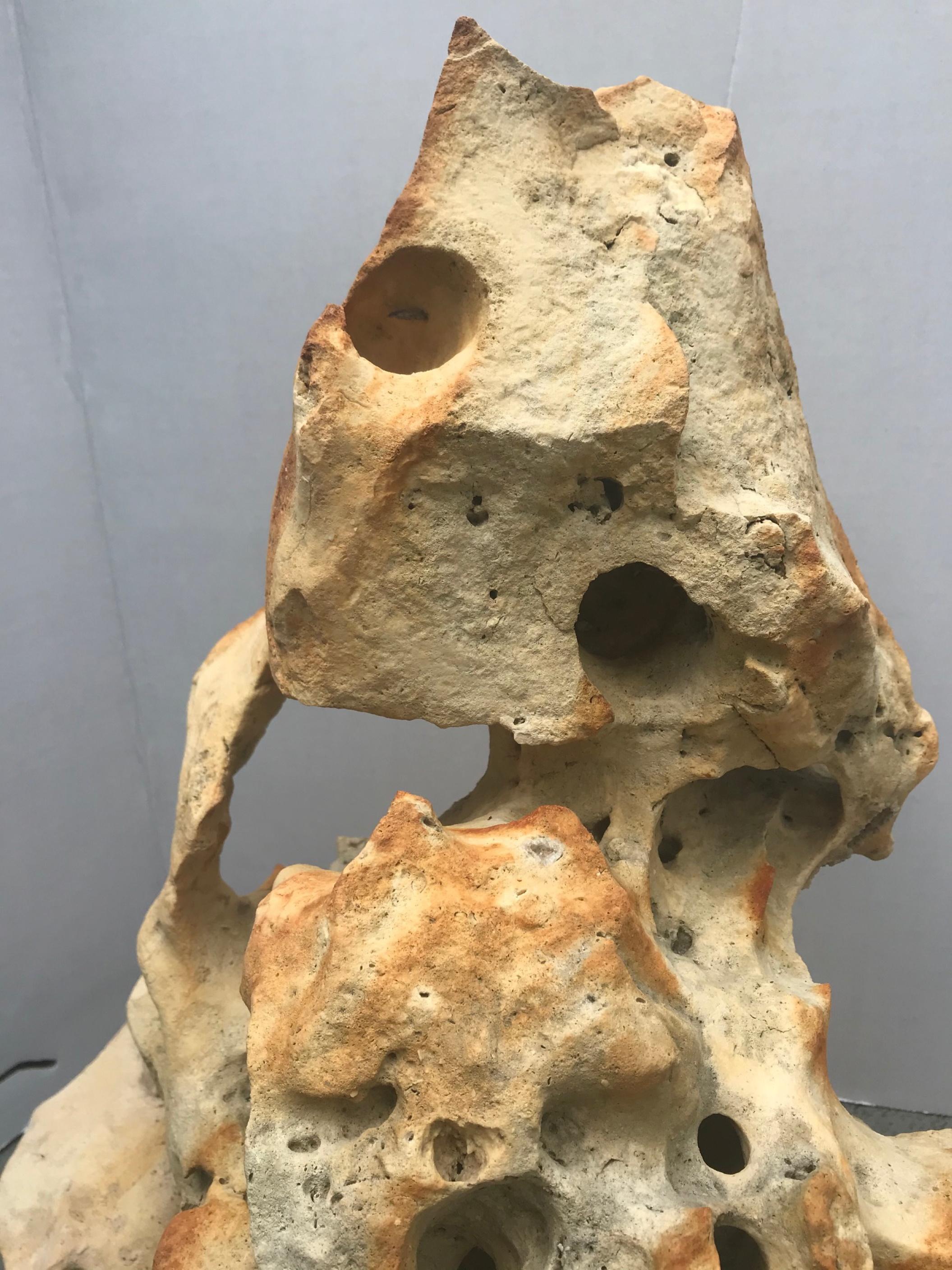 Fine Large Chinese Taihu Scholar Limestone Rock 2