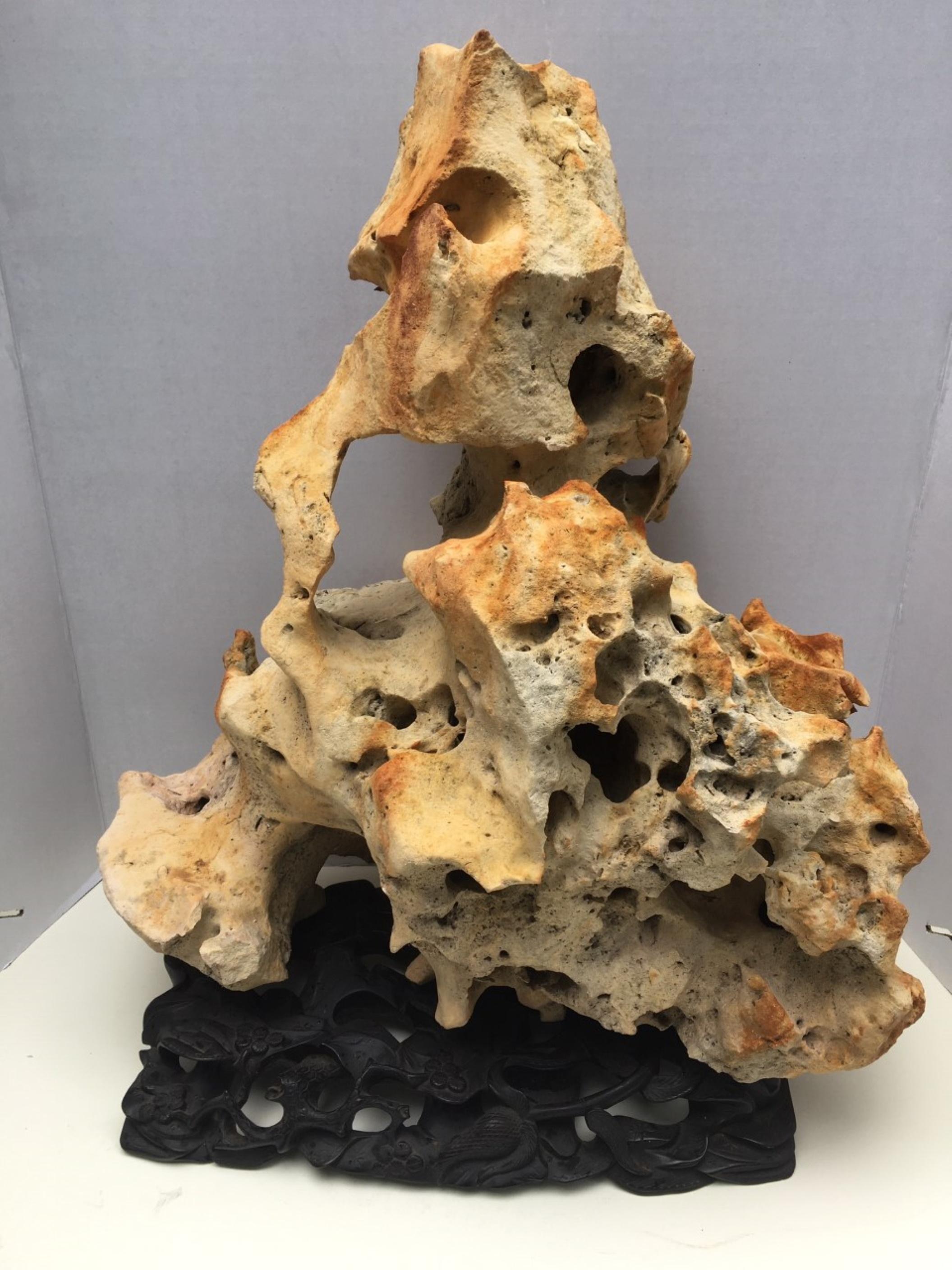 Fine large Chinese Taihu scholar limestone rock

This fantastically shaped limestone is prized for its dramatic beauty of natural perforations and textured surfaces. The Taihu scholar rock is a naturally occurring limestone specimen and it comes