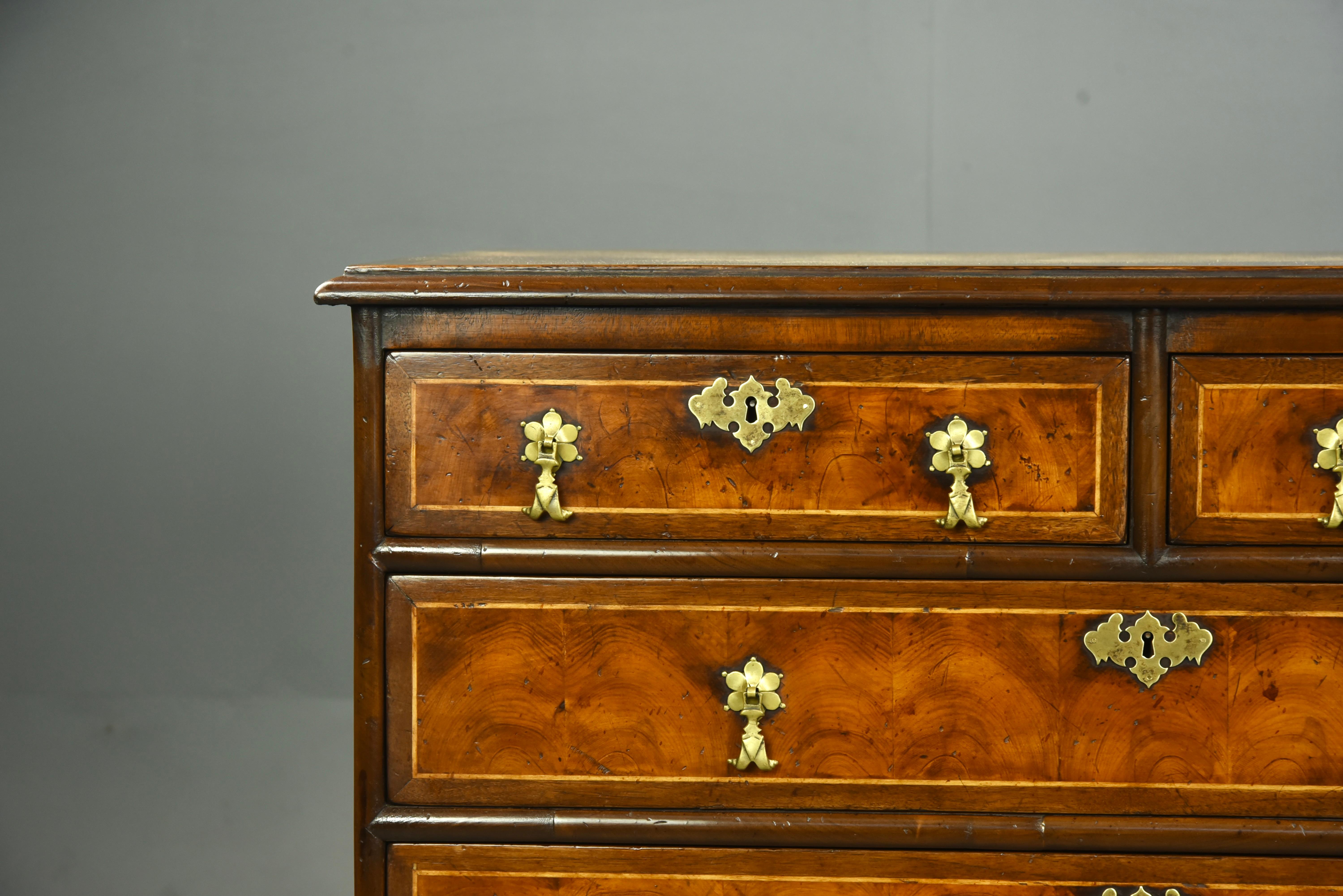 Fine Late 18th Century English Oyster Chest of Drawers Commode 5