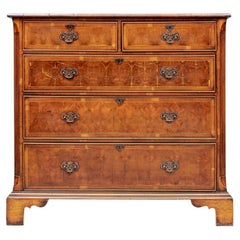 Fine Late 18th Century Yew Burl Wood Chest of Drawers