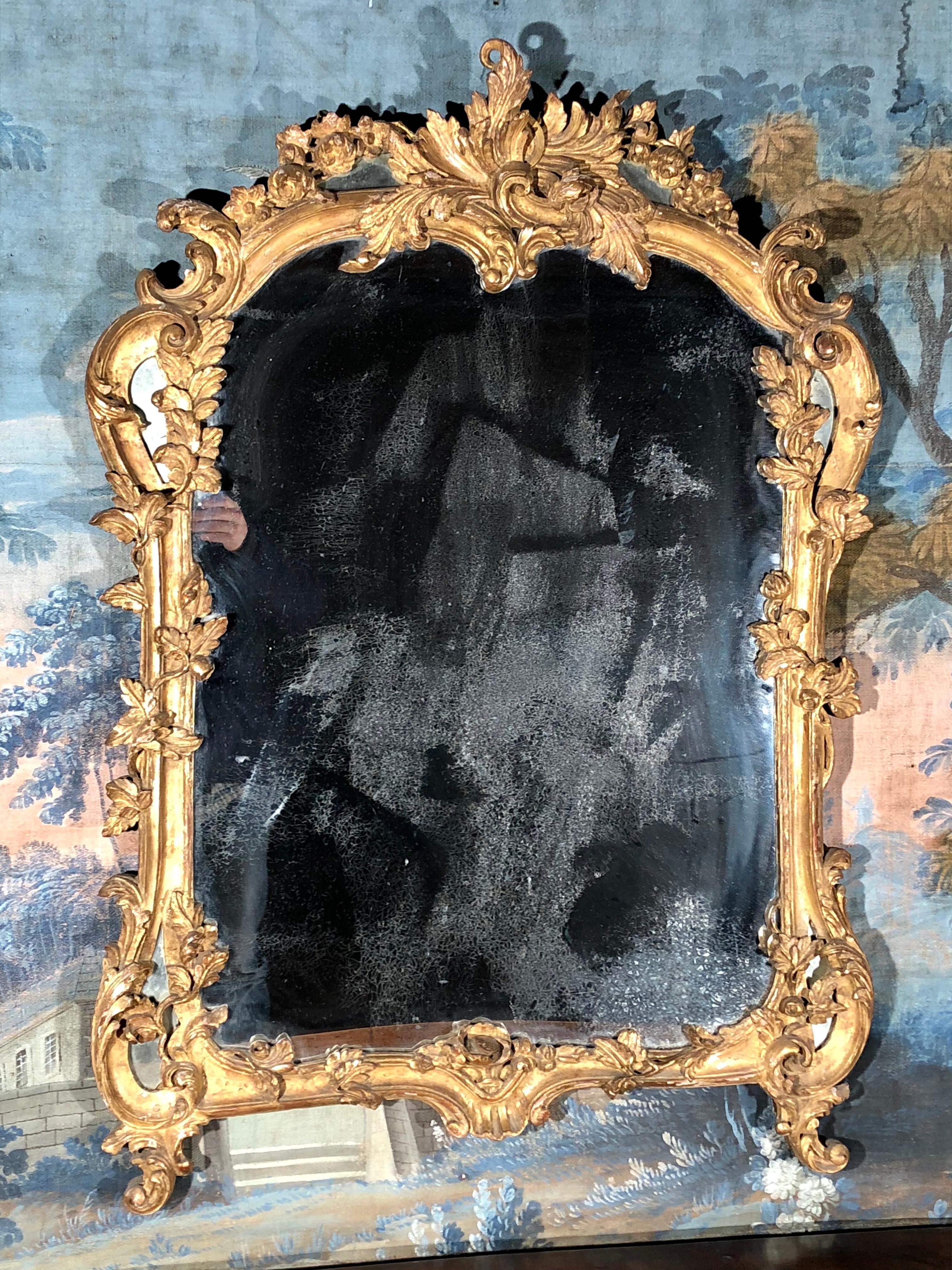 Carved Fine Louis XV Period Mirror, 18th Century