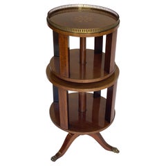 Fine Mahogany inlaid double Revolving Bookcase