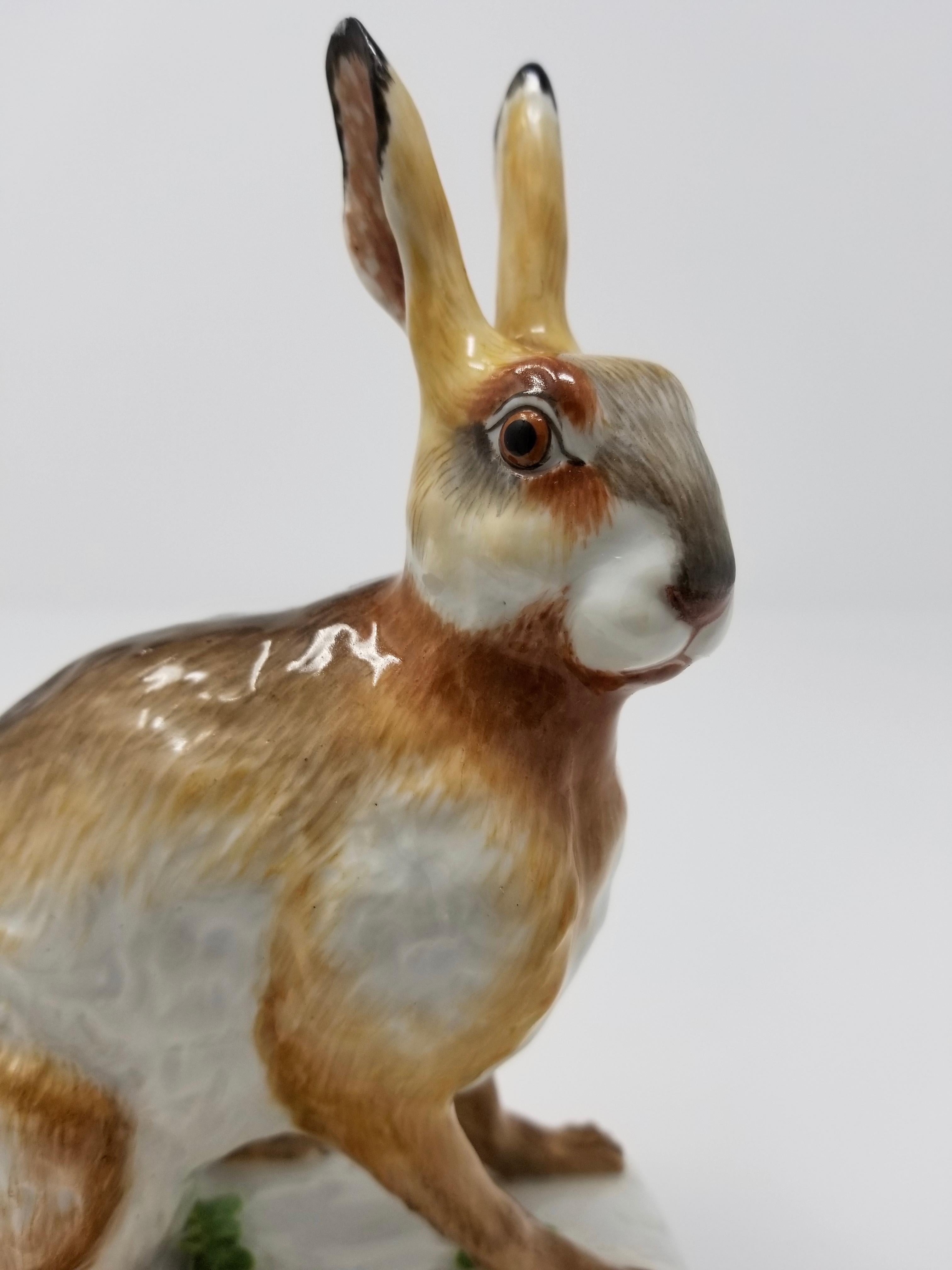 Rococo Fine Meissen Porcelain Figure of a Rabbit after a Model by J. J. Kandler For Sale