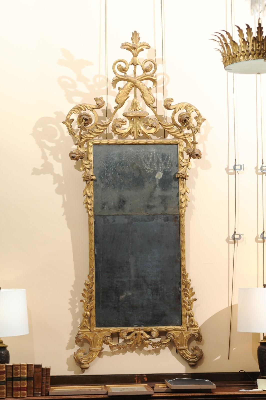 Miroir néoclassique italien de la fin du XVIIIe siècle en bois doré avec crête sculptée de dauphins, feuilles d'acanthe et roses. Le miroir avec la plaque originale de 2 pièces.