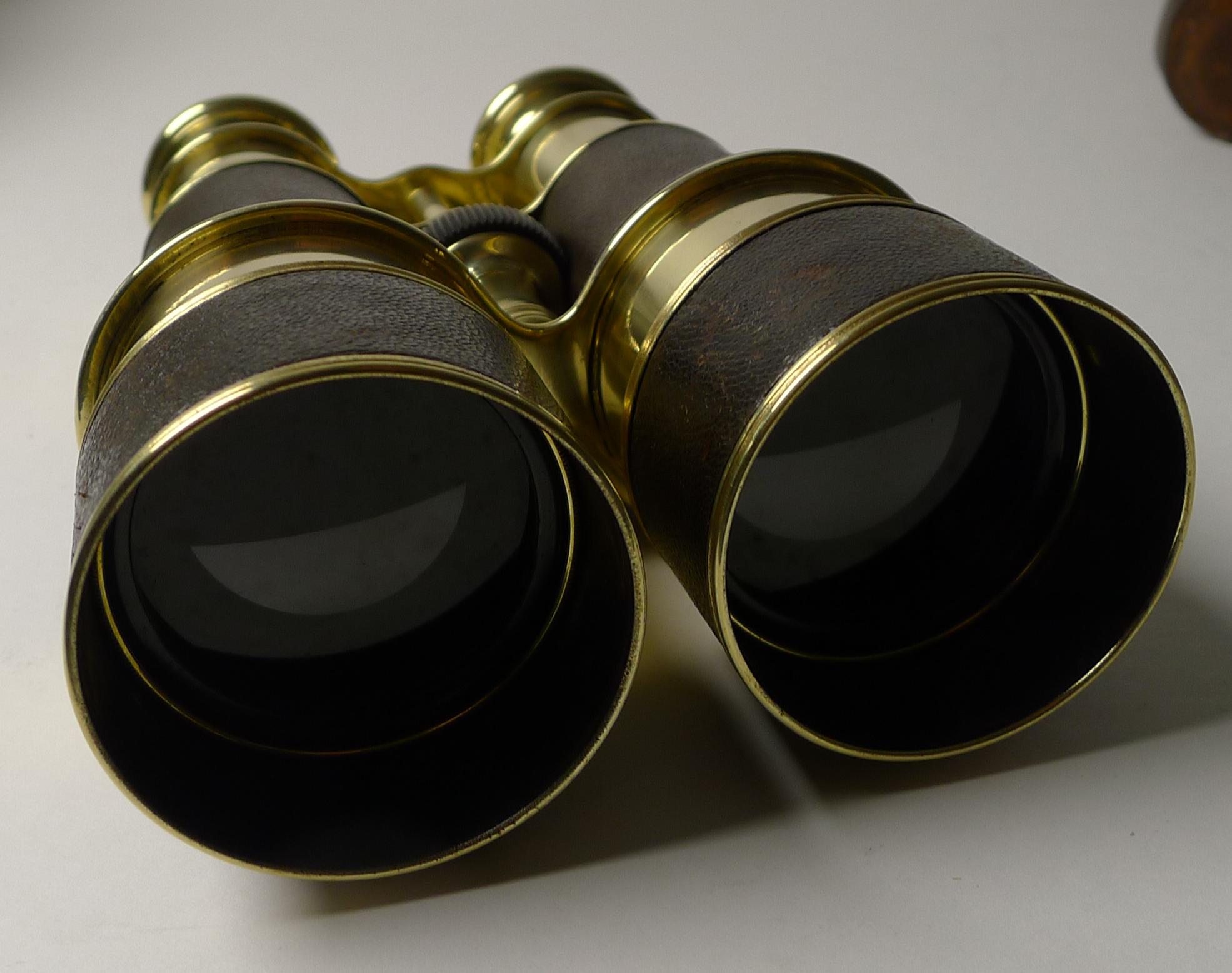 British Fine Pair Cased Binoculars by W Gregory & Co. Ltd., N.R.A.