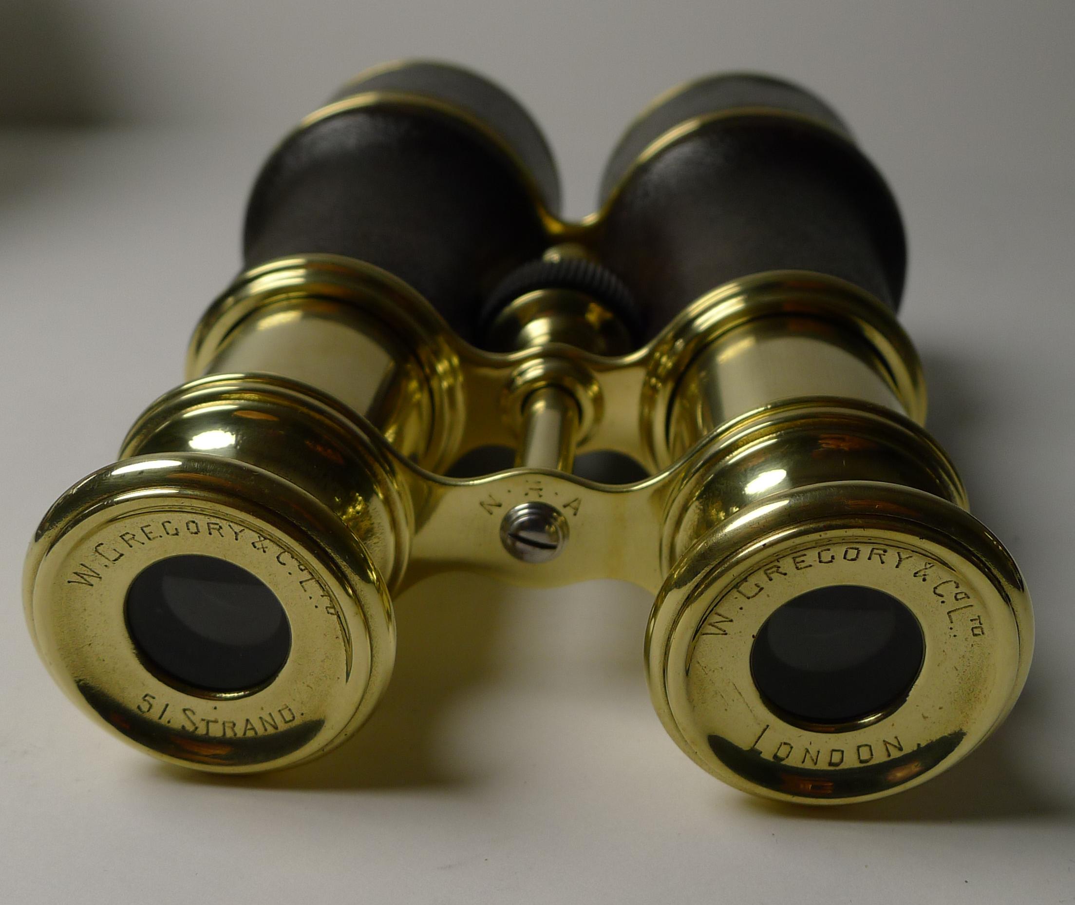 Fine Pair Cased Binoculars by W Gregory & Co. Ltd., N.R.A. In Good Condition In Bath, GB