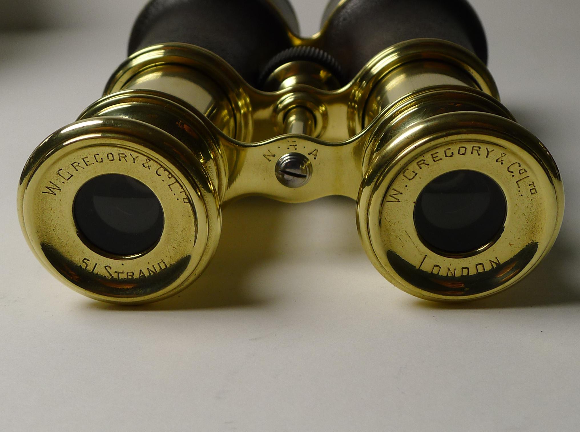Early 20th Century Fine Pair Cased Binoculars by W Gregory & Co. Ltd., N.R.A.