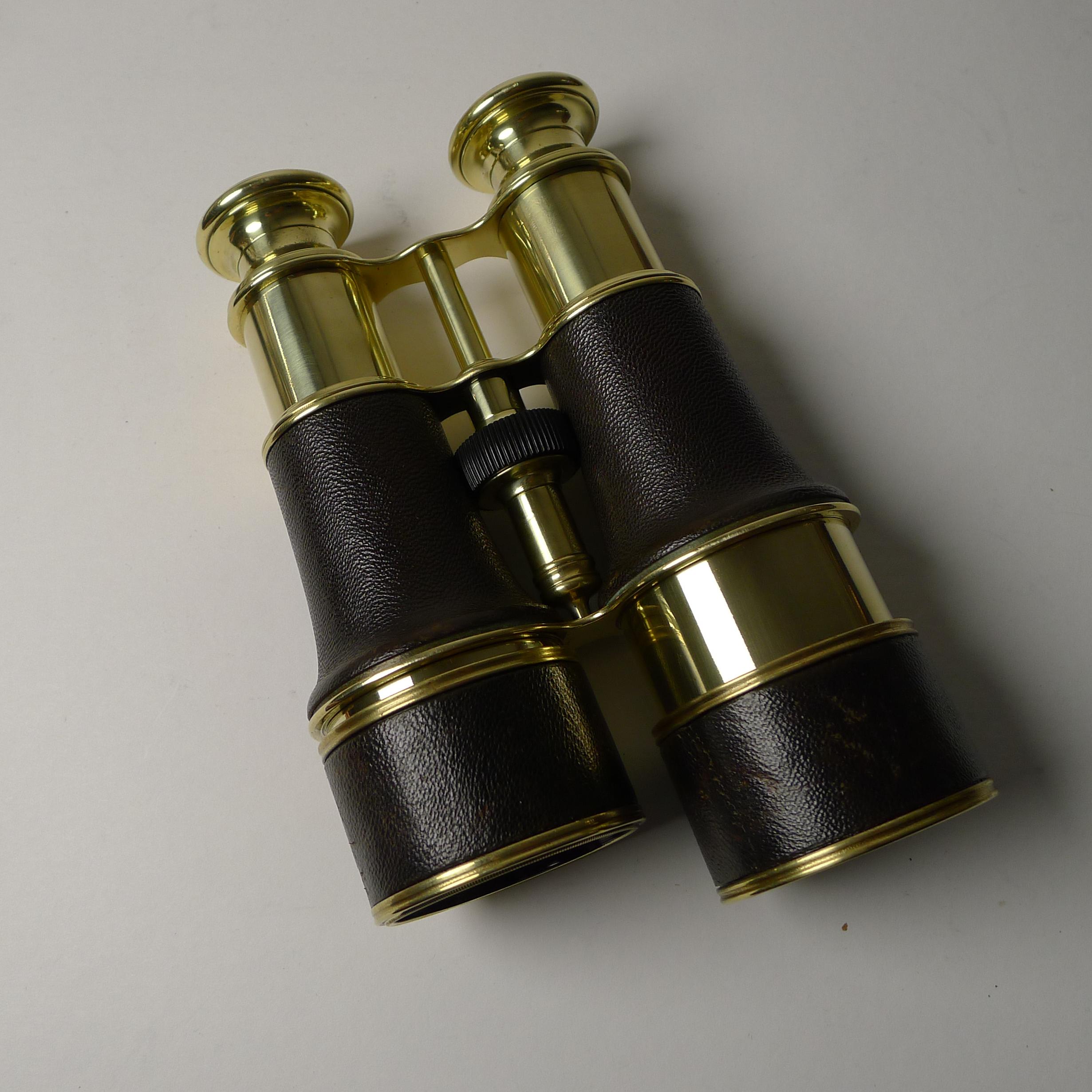 Brass Fine Pair Cased Binoculars by W Gregory & Co. Ltd., N.R.A.