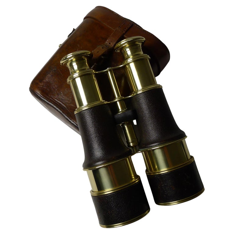 Fine Pair Cased Binoculars by W Gregory and Co. Ltd., N.R.A. For Sale