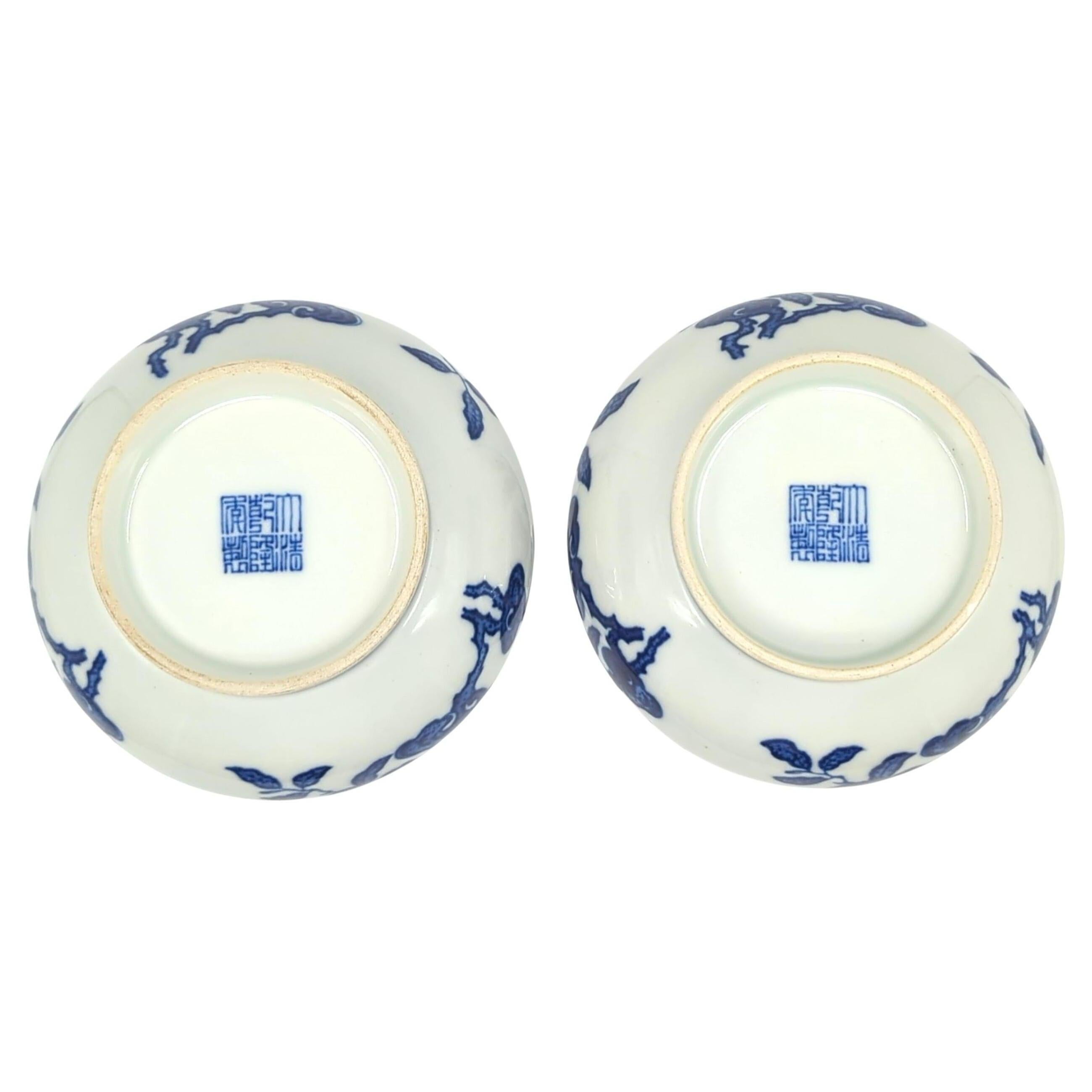Fine Pair Chinese Porcelain Underglaze Blue&White BW Sanduo Fruits Vase Late 20c For Sale 8