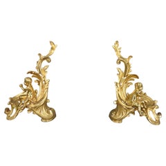 Paire de chenets figuratifs en bronze de style Louis XV français