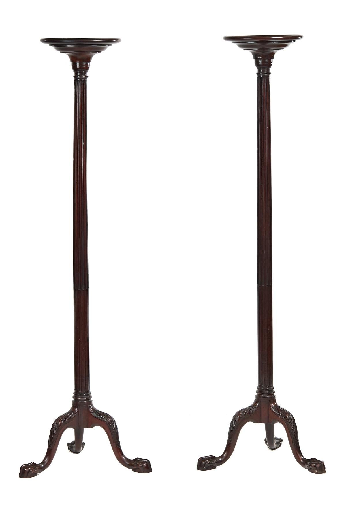 Fine Pair Edwardian Mahogany & Carved Torchere Stands,
Circular Dished tops.
Reeded Columns
Tripod Base,
Legs with Leaf carving on knees , Carved claw & Ball Feet,
Recently Polished
Very Good Quality.