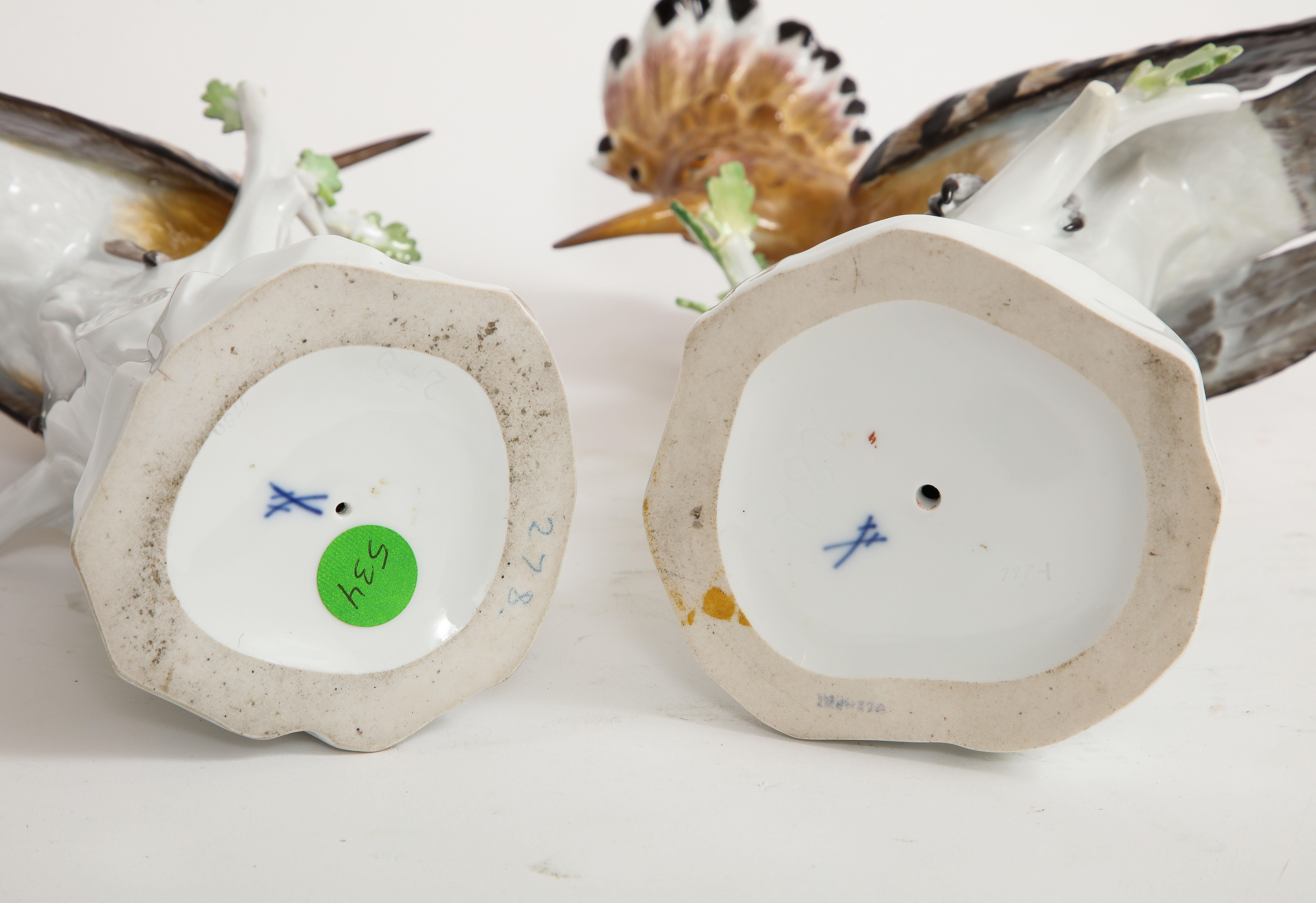 Fino par de figuras de porcelana de Meissen de pájaros abubilla posados en ramas blancas en venta 6