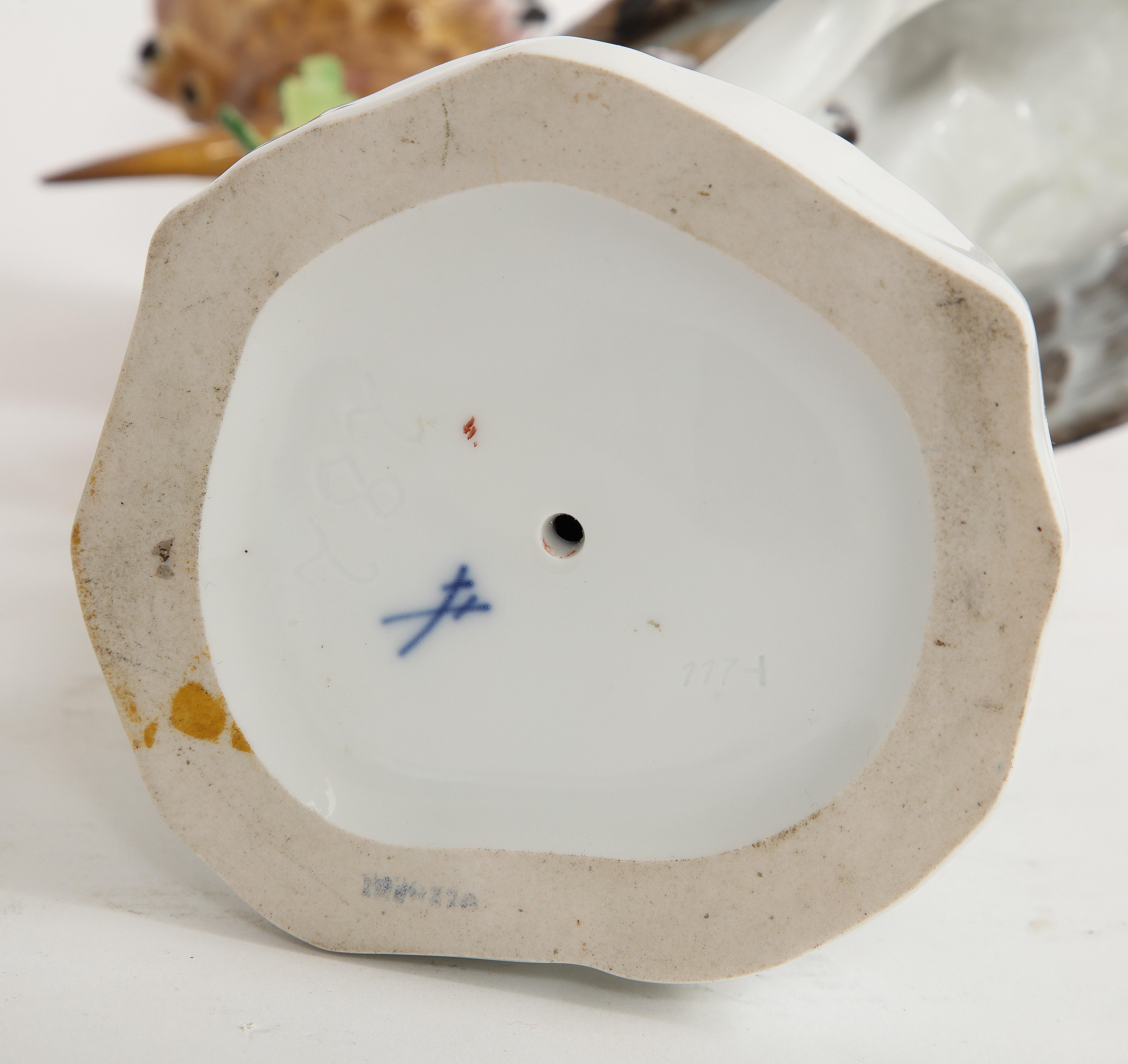 Fino par de figuras de porcelana de Meissen de pájaros abubilla posados en ramas blancas en venta 8