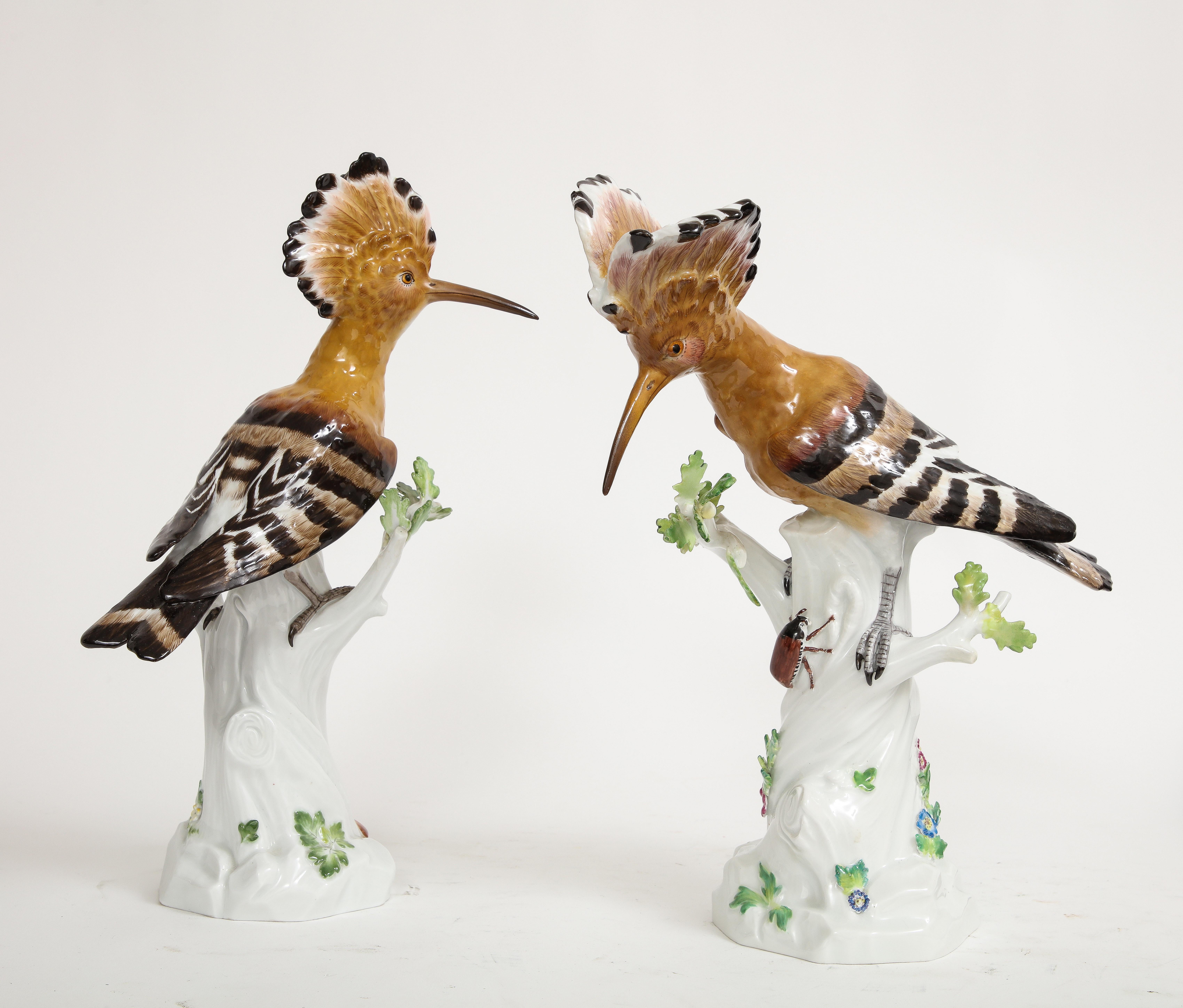Un hermoso par de muy  Figuras de porcelana de Meissen de pájaros abubilla posados en ramas de árboles blancos, con insectos y flores.  Esta pareja naturalista de exóticas abubillas, finamente detallada, es un maravilloso homenaje a estas gloriosas