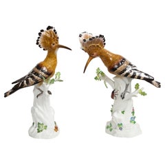 Fine Pair Meissen Porcelain Figures of Hoopoe Birds Perched on White Branches