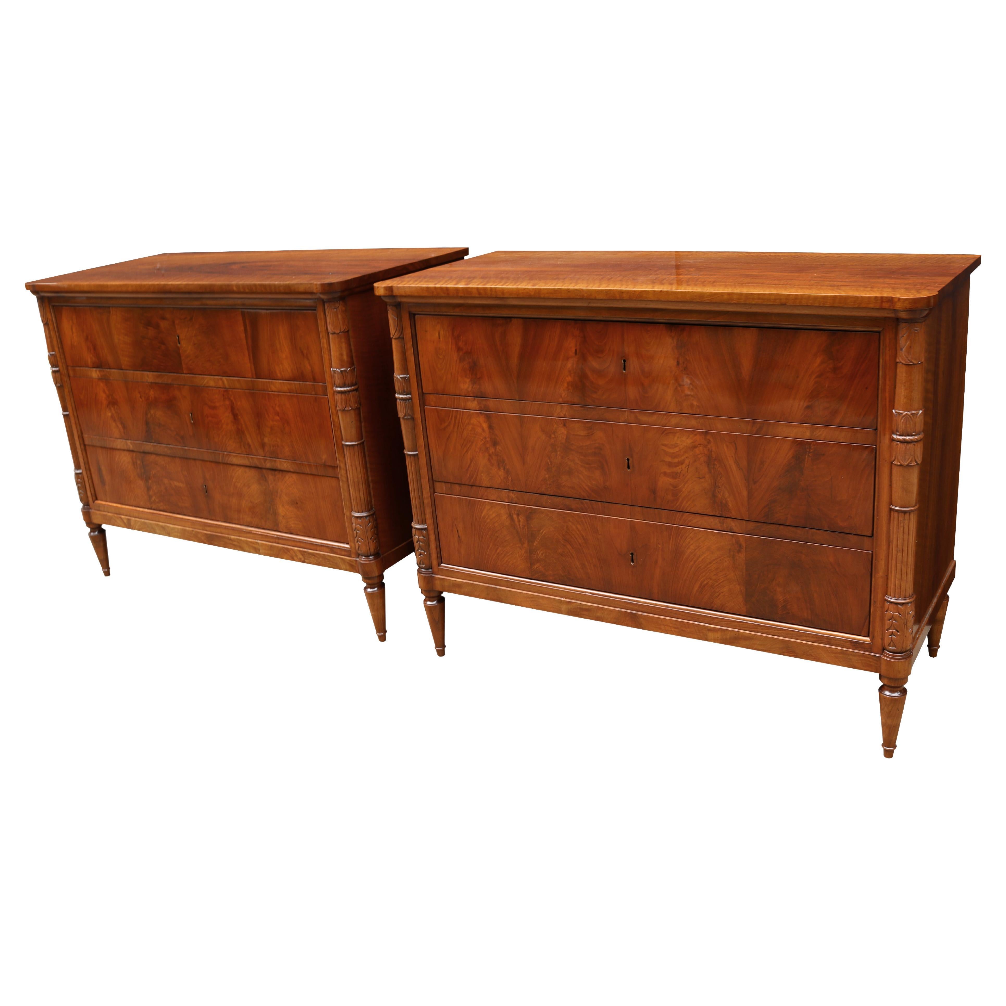 Large Pair of 19th Century Chests of Drawers For Sale