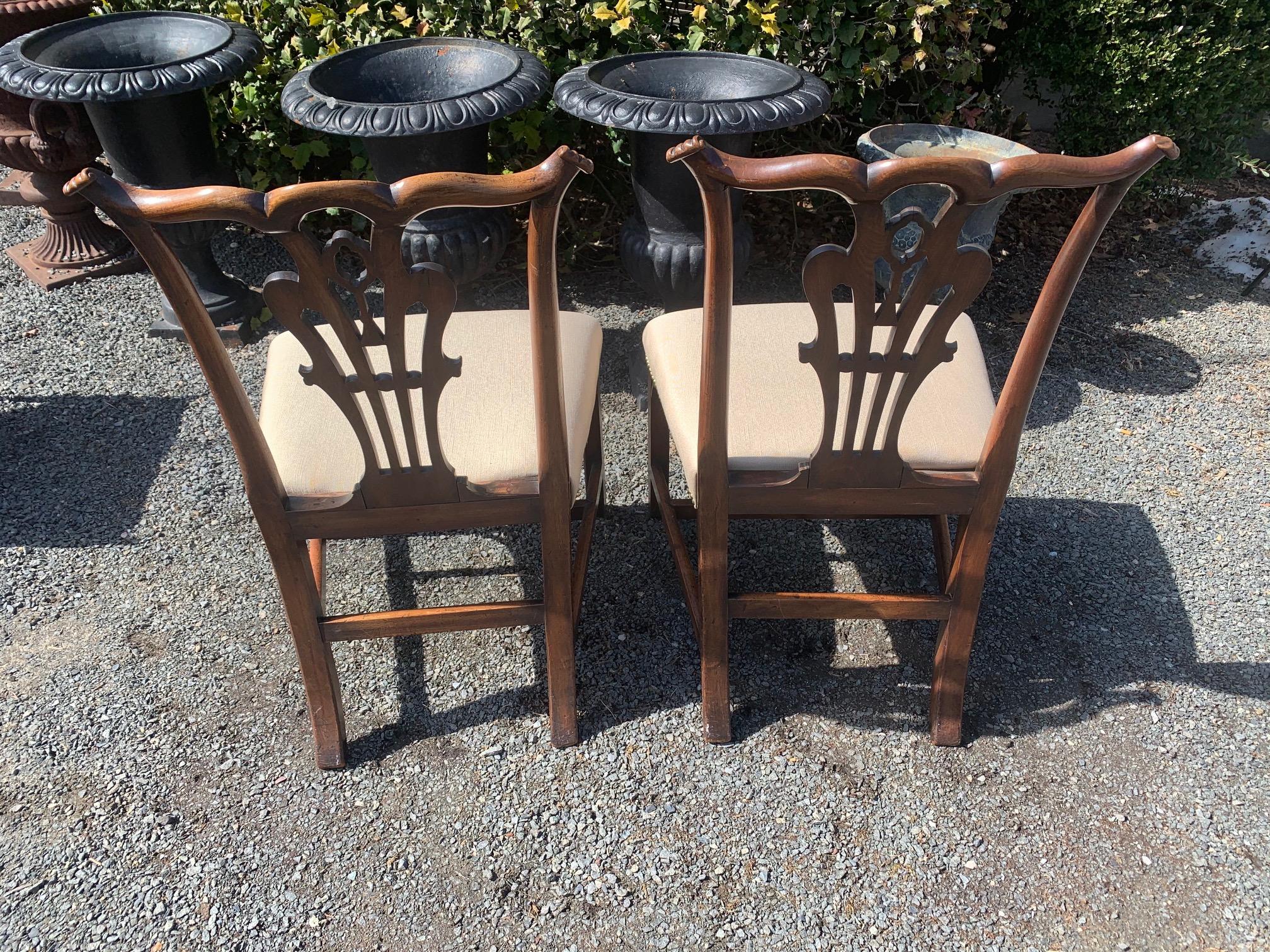 Chippendale Fine Pair of 19th Century Irish Georgian Side Chairs with Center Carved Tassels