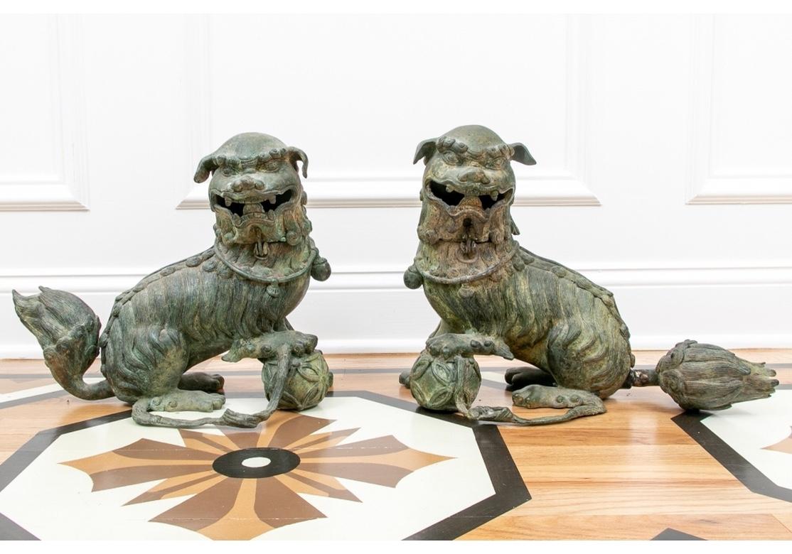 Fabulous Antique Chinese Foo Lion incense burners originally purchased in Bangkok, Thailand. Patinated bronze with cloud-like tails and fierce open jaws. They rest one front leg on a sphere with long ribbons. In overall fine deep Archaic type