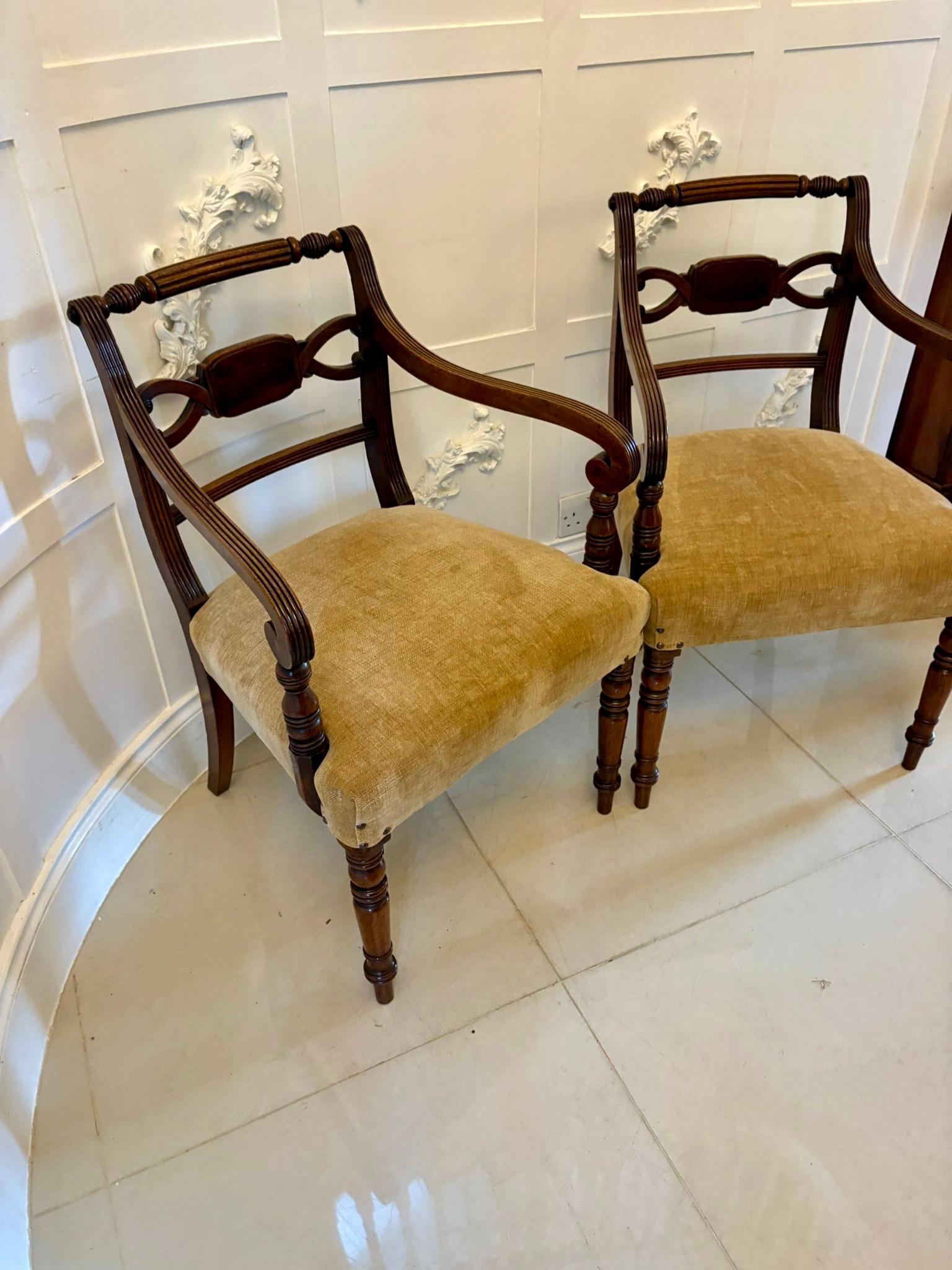 Paire de chaises de bureau/carver antiques en acajou de qualité George III en vente 7