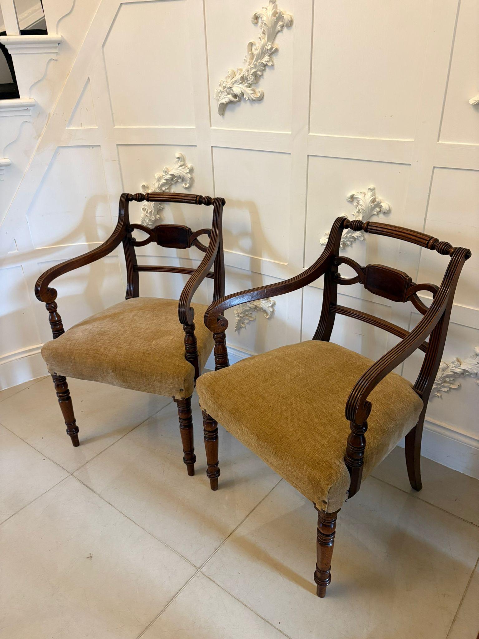 Paire de chaises de bureau/carver antiques en acajou de qualité George III en vente 8