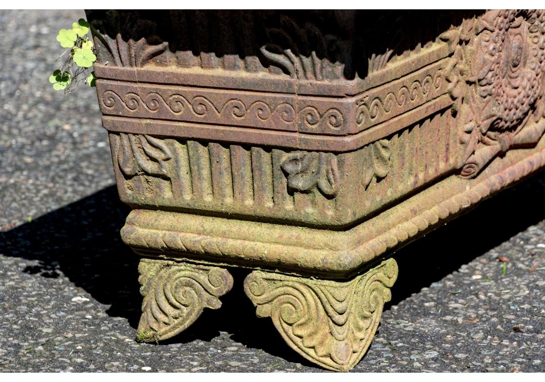 Paire de jardinières à pied en fer ancien en vente 3