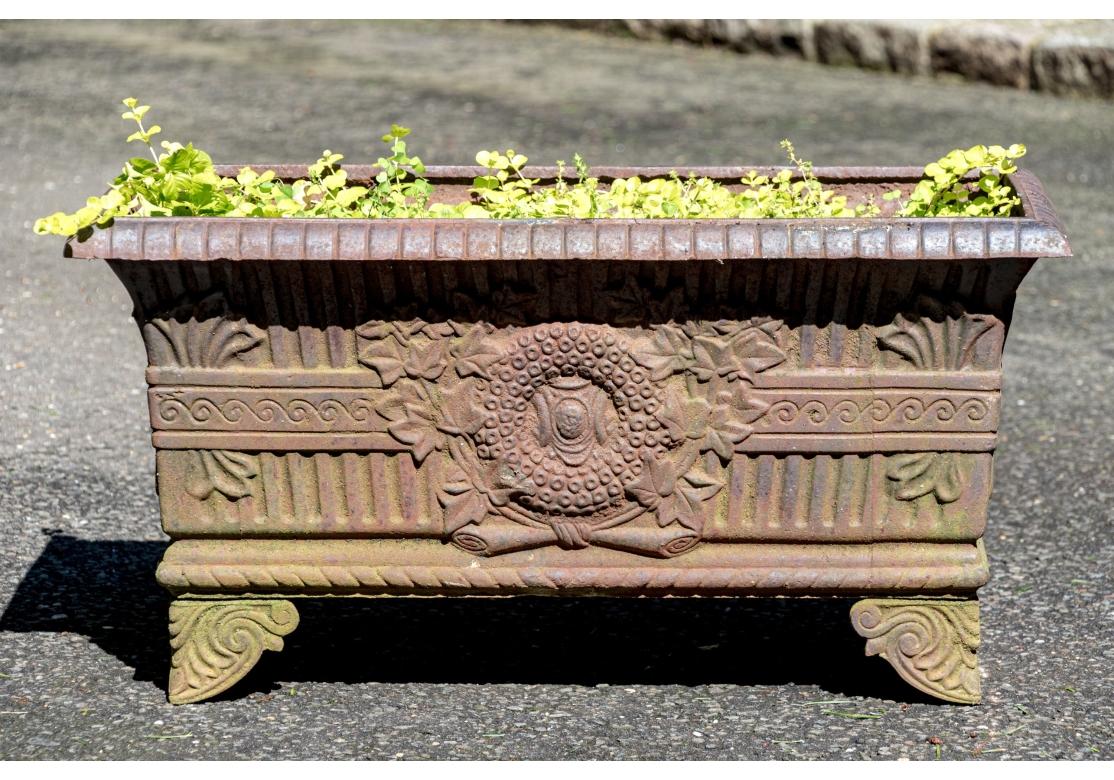 Paire de jardinières à pied en fer ancien en vente 4