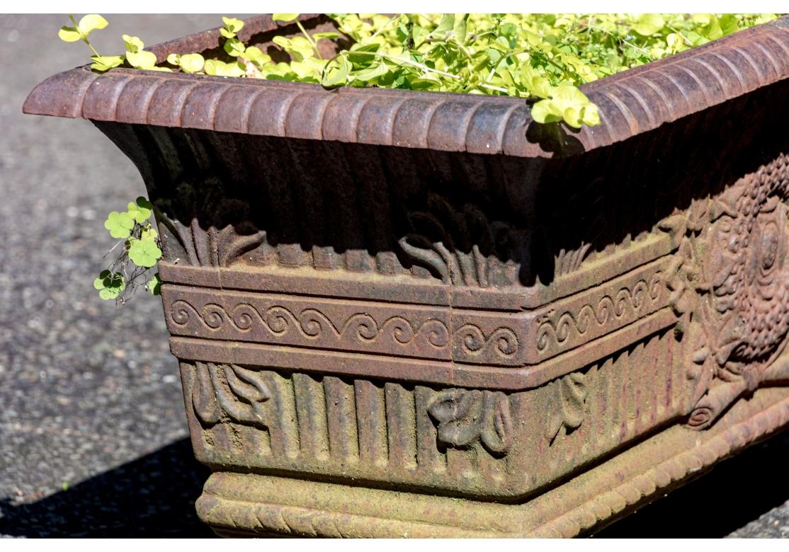 Néoclassique Paire de jardinières à pied en fer ancien en vente