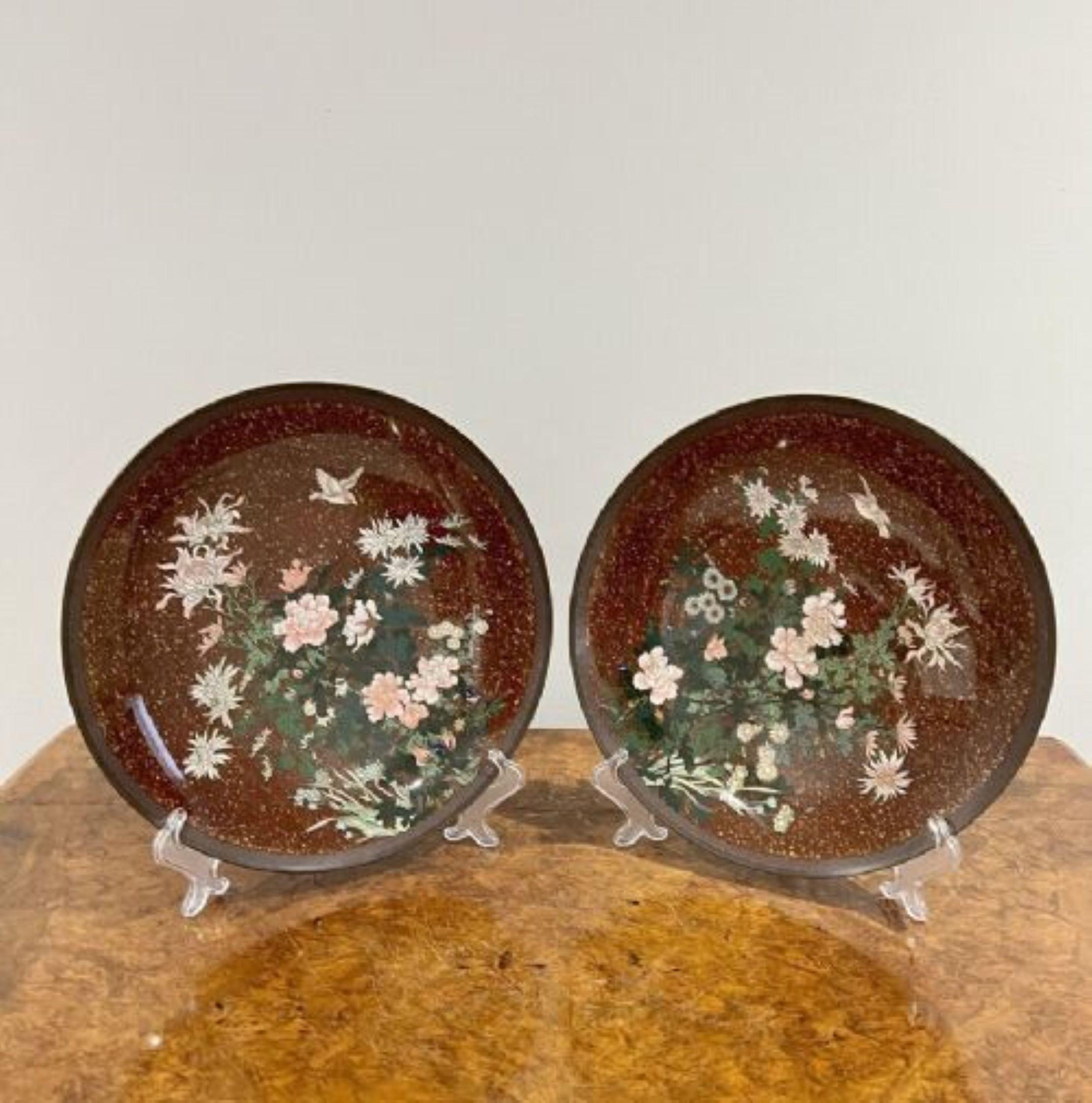 20th Century Fine pair of antique Japanese cloisonné plates For Sale