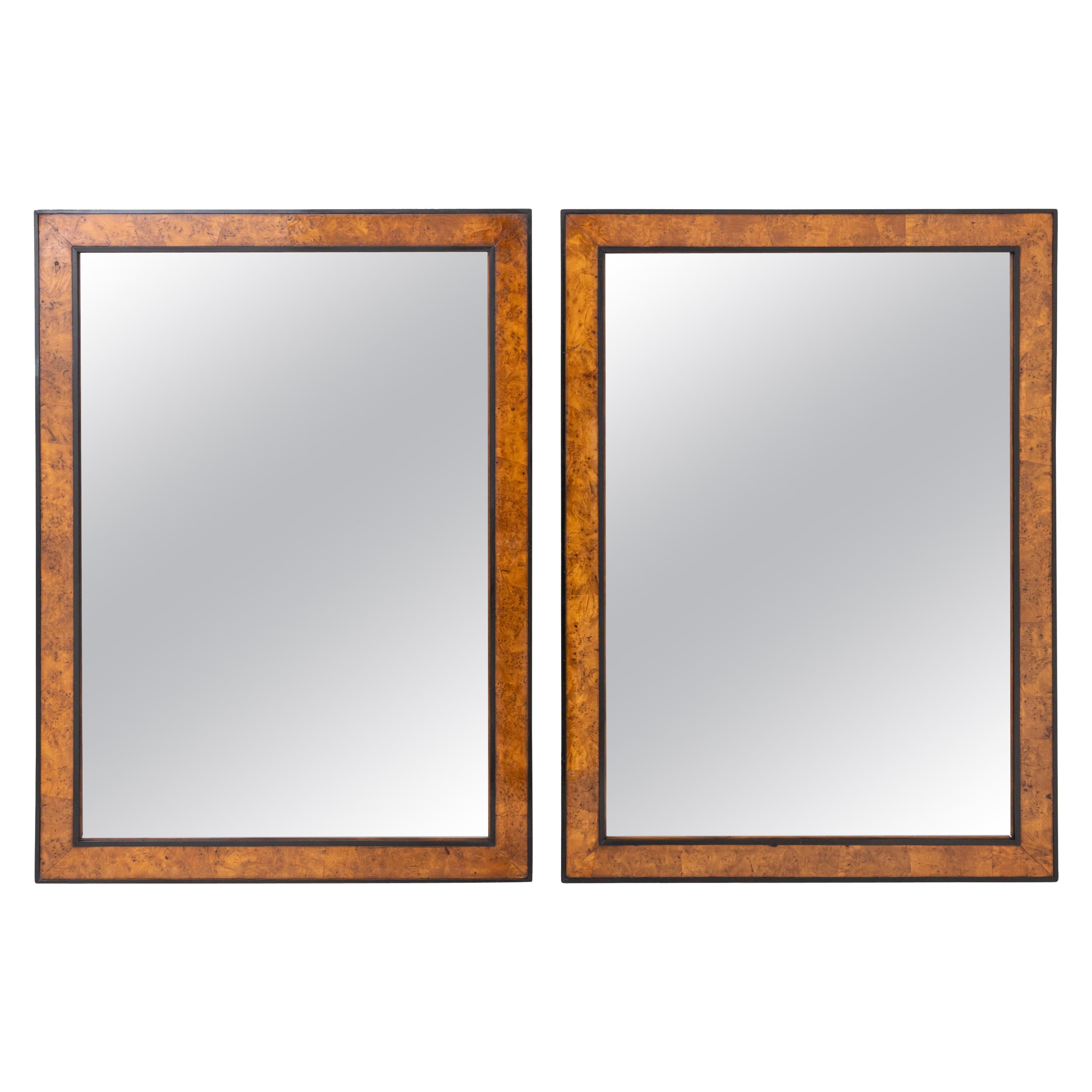 Fine Pair of Biedermeier Mirrors For Sale