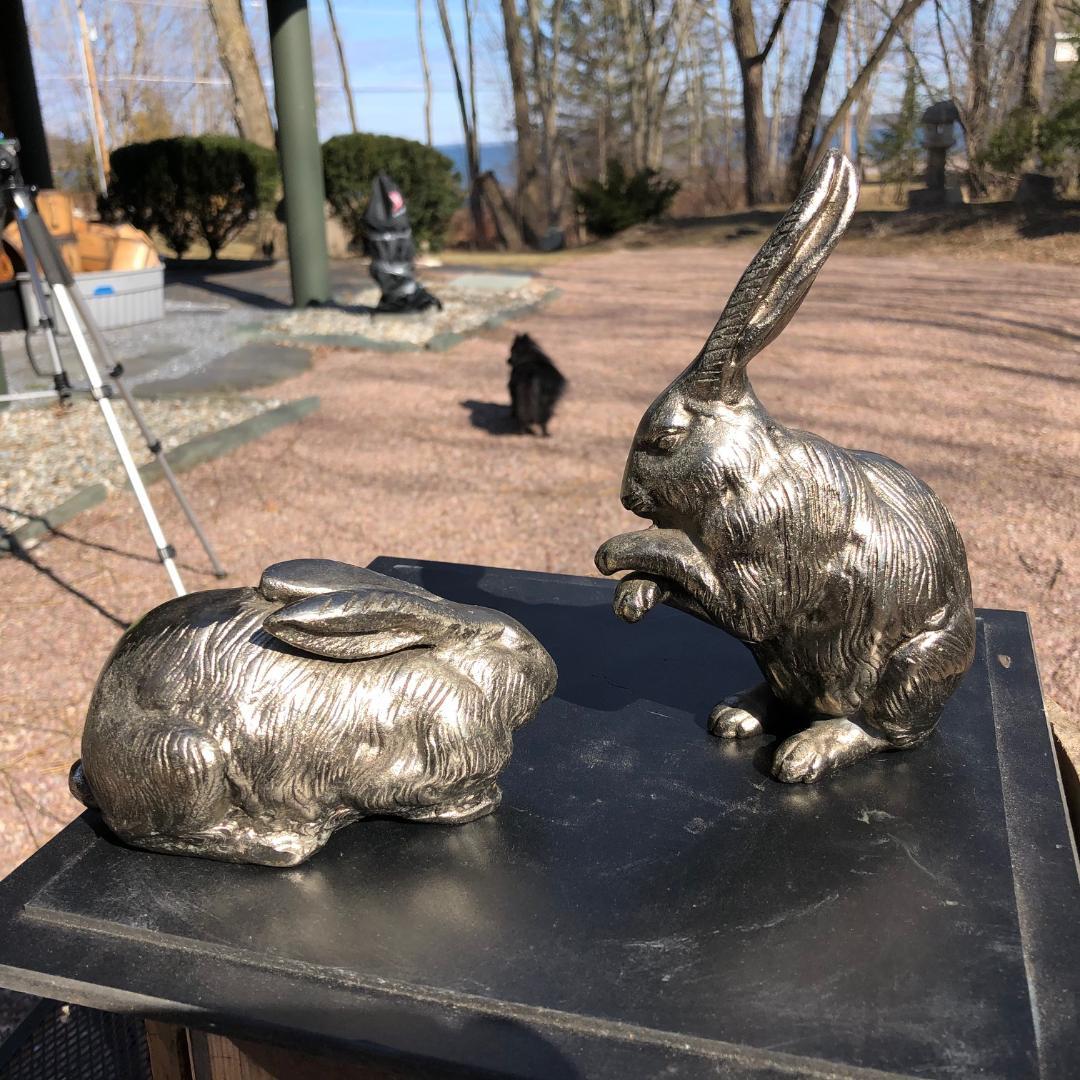Taisho Fine Pair of Big Hand Cast Bronze Playful Rabbits from Old Japan