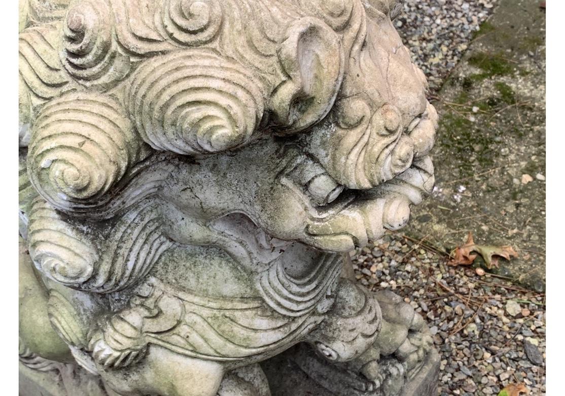 Ein Paar geschnitzte Garten-Feuerlöwen-Figuren aus Marmor im Angebot 4
