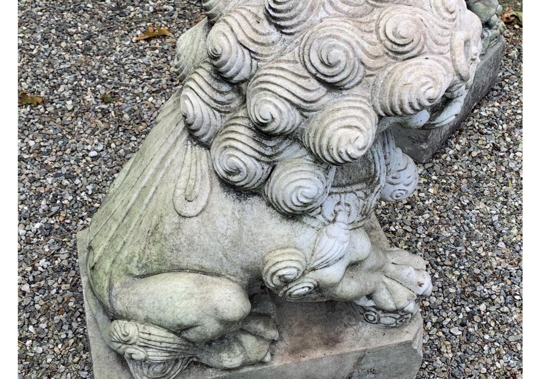 Ein Paar geschnitzte Garten-Feuerlöwen-Figuren aus Marmor im Angebot 5