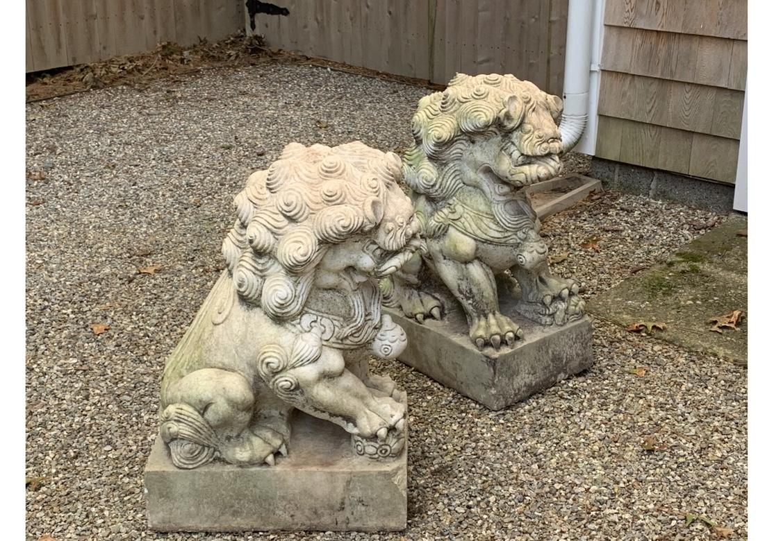 Ein Paar geschnitzte Garten-Feuerlöwen-Figuren aus Marmor im Angebot 6
