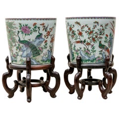 Fine Pair of Chinese Porcelain Jardinieres with Peacocks on Stands