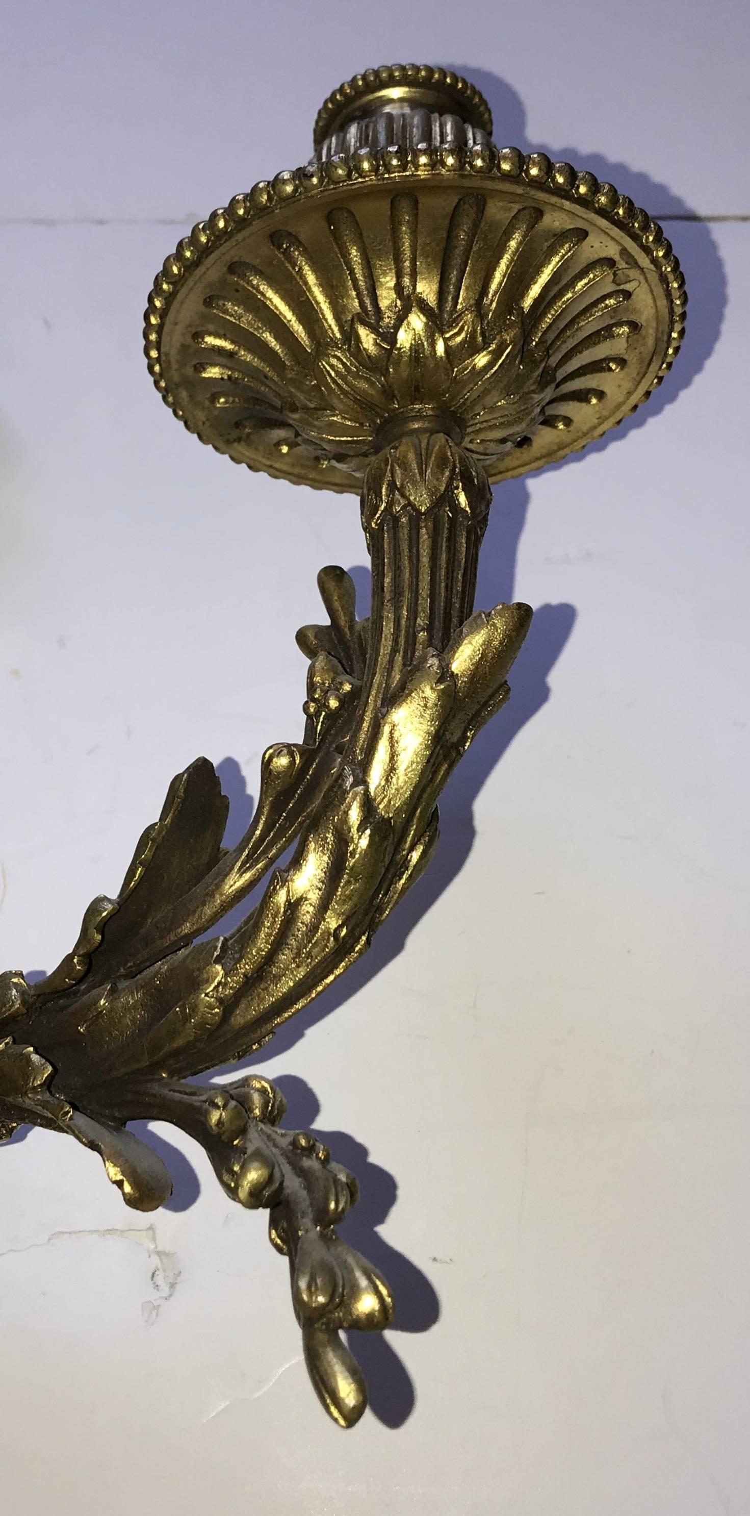 Belle Époque Fine Pair of Elegant French Doré Bronze Two-Arm Bow Top Tassel Filigree Sconces For Sale