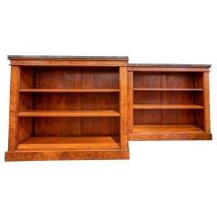 Antique Fine Pair of English 19th Century Walnut Bookcases, William IV Period