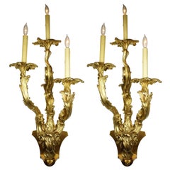 Bellissima coppia di applique francesi del XIX secolo in stile Luigi XV a tre luci, in bronzo dorato